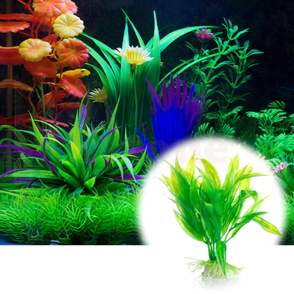 Aquarium Plants