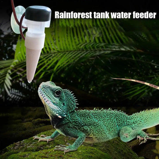 Chameleon Water Drinker