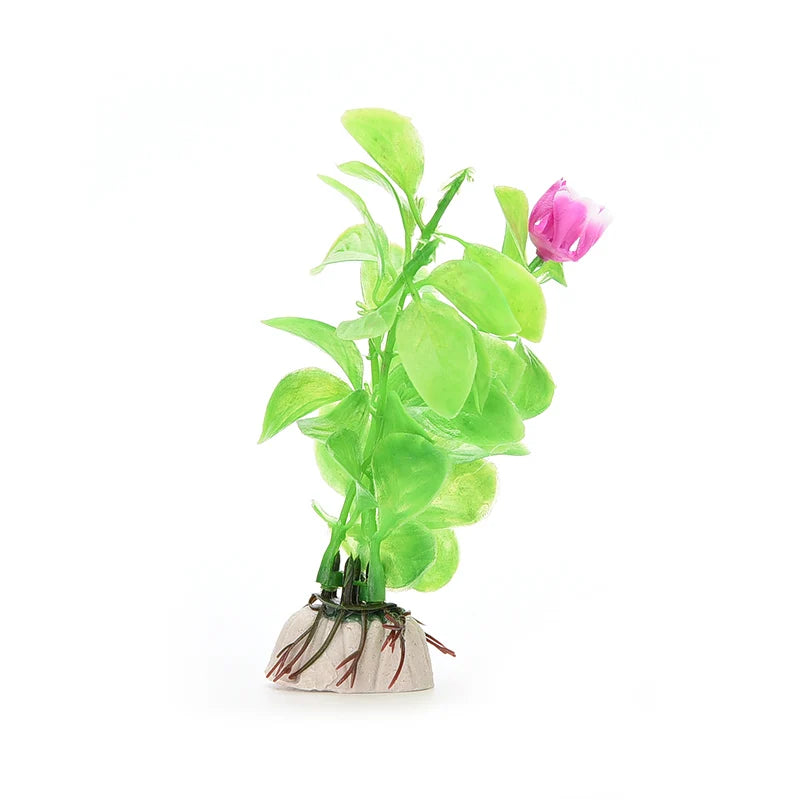 Aquarium Plants