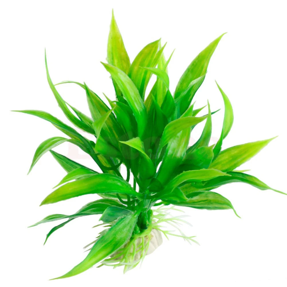 Aquarium Plants