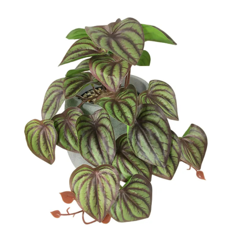 Reptile Foliage