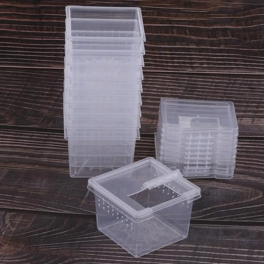 10 Pieces Spiderling boxes