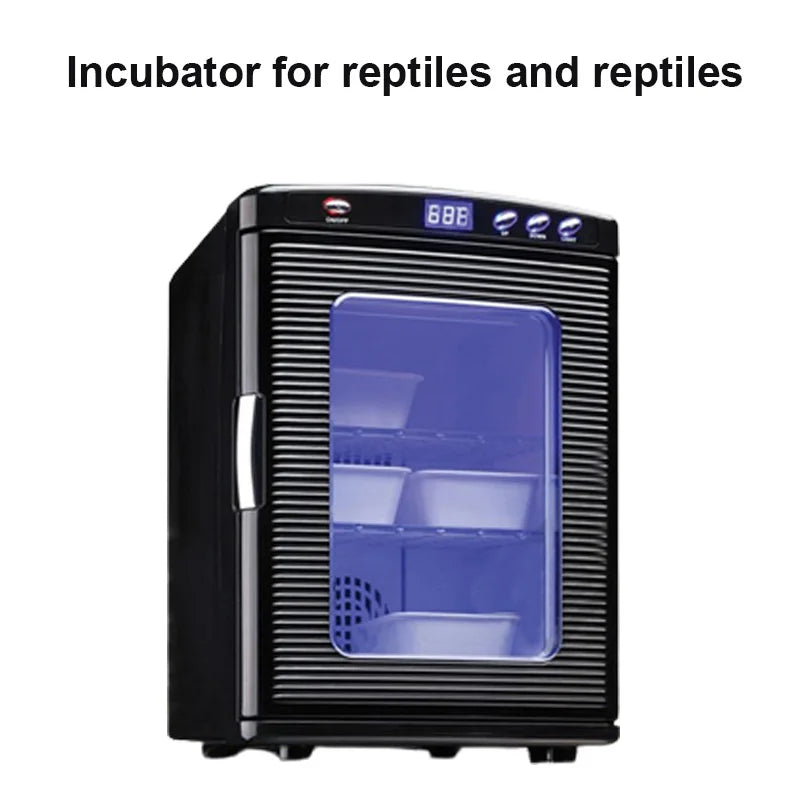 Incubator