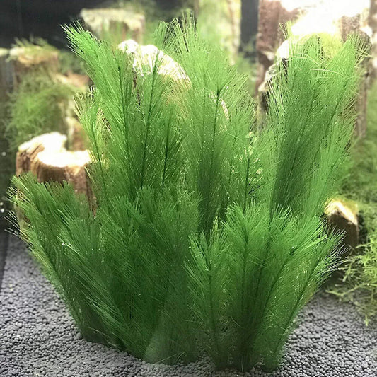 30cm Imitation Water Grass