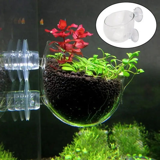 Aquarium Plant Cup