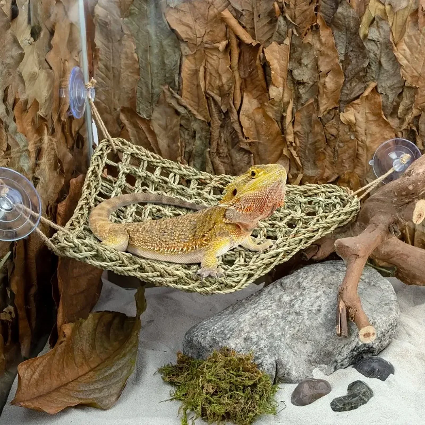 Reptile Hammock