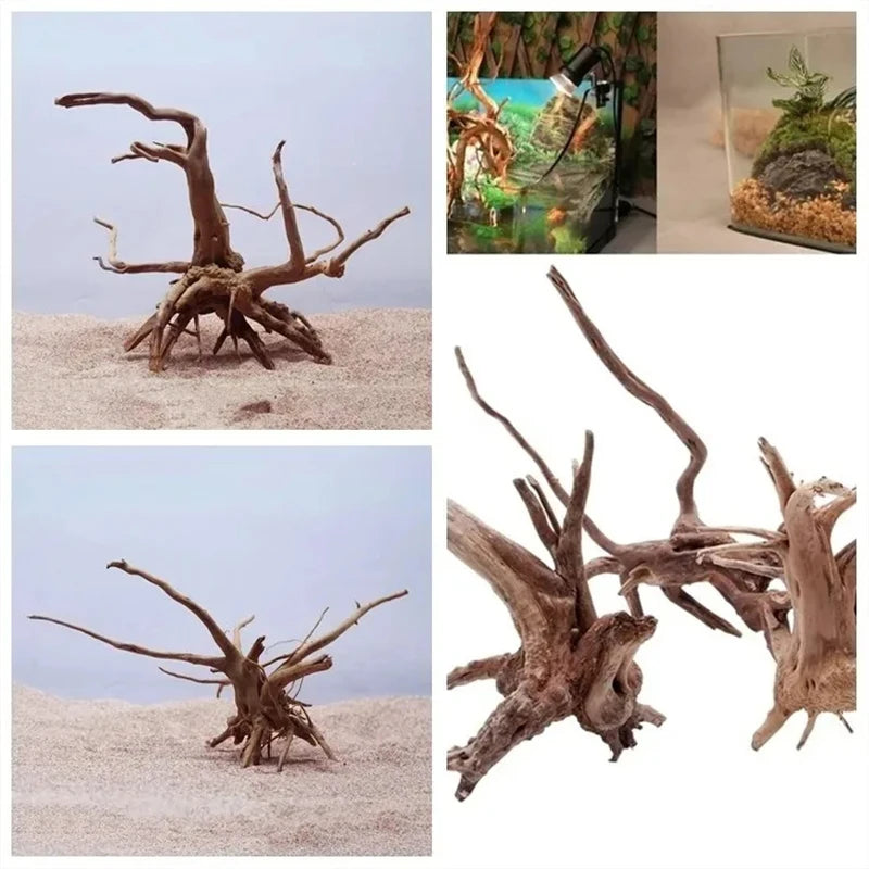 Natural Driftwood