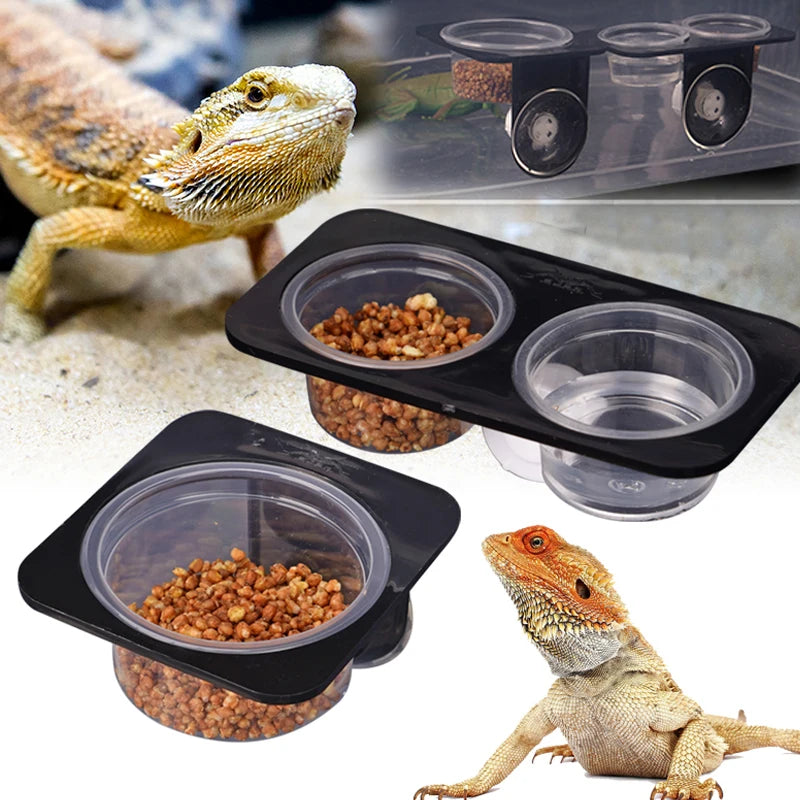 Gecko cups