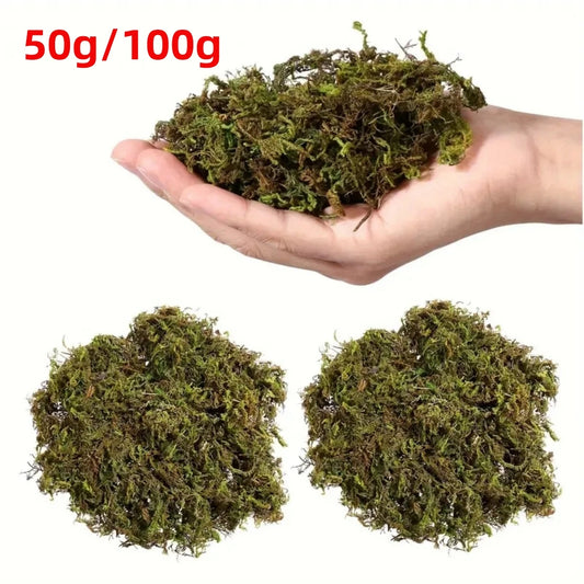 50g/100g Artificial Moss