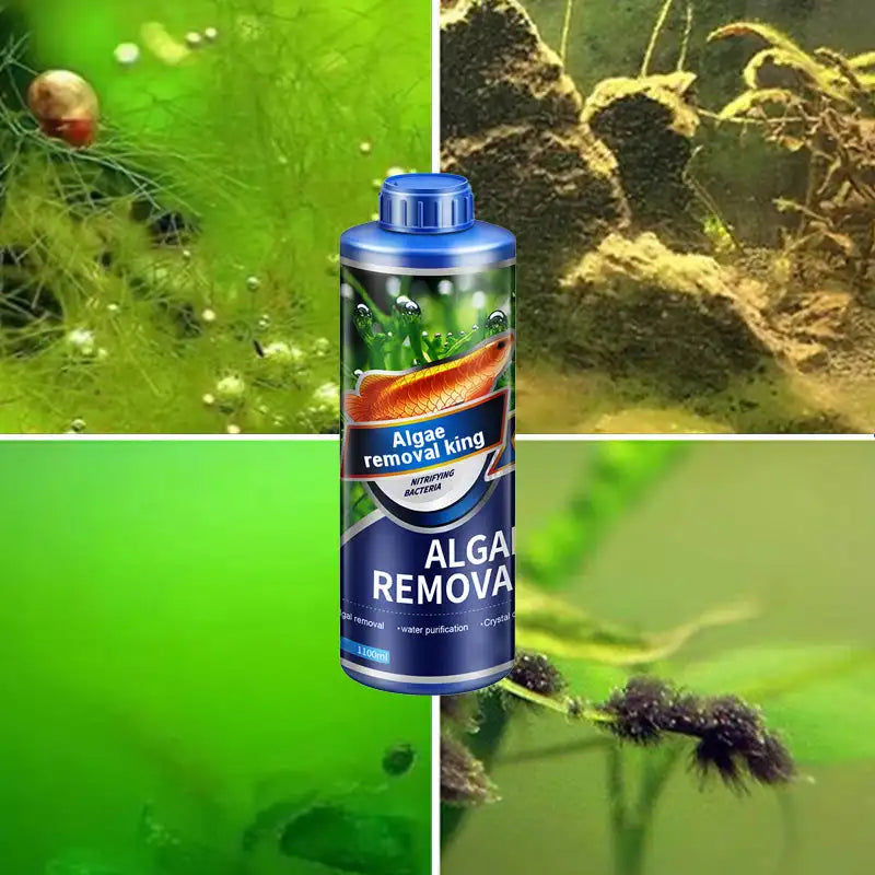 Algae Remover