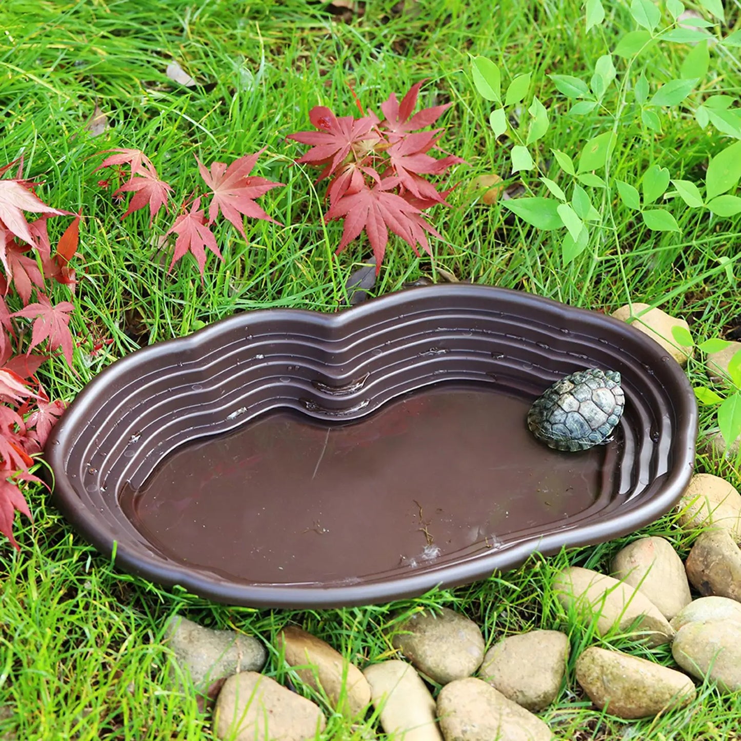 Large Reptile Bowl