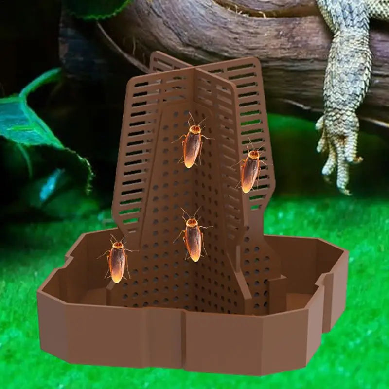 Reptile Food Dish