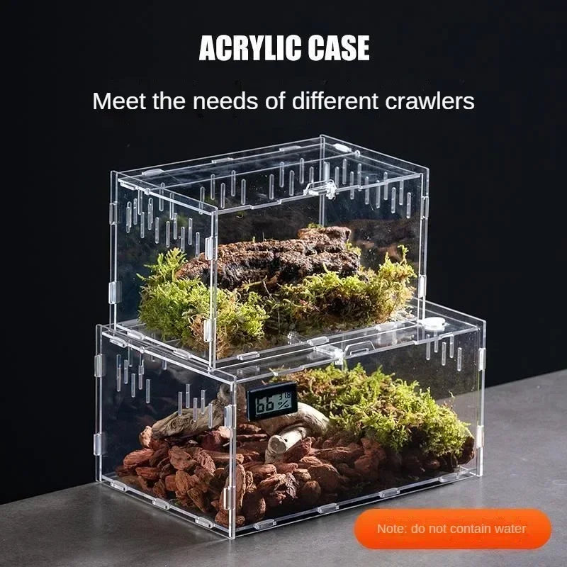 Acrylic Terrarium