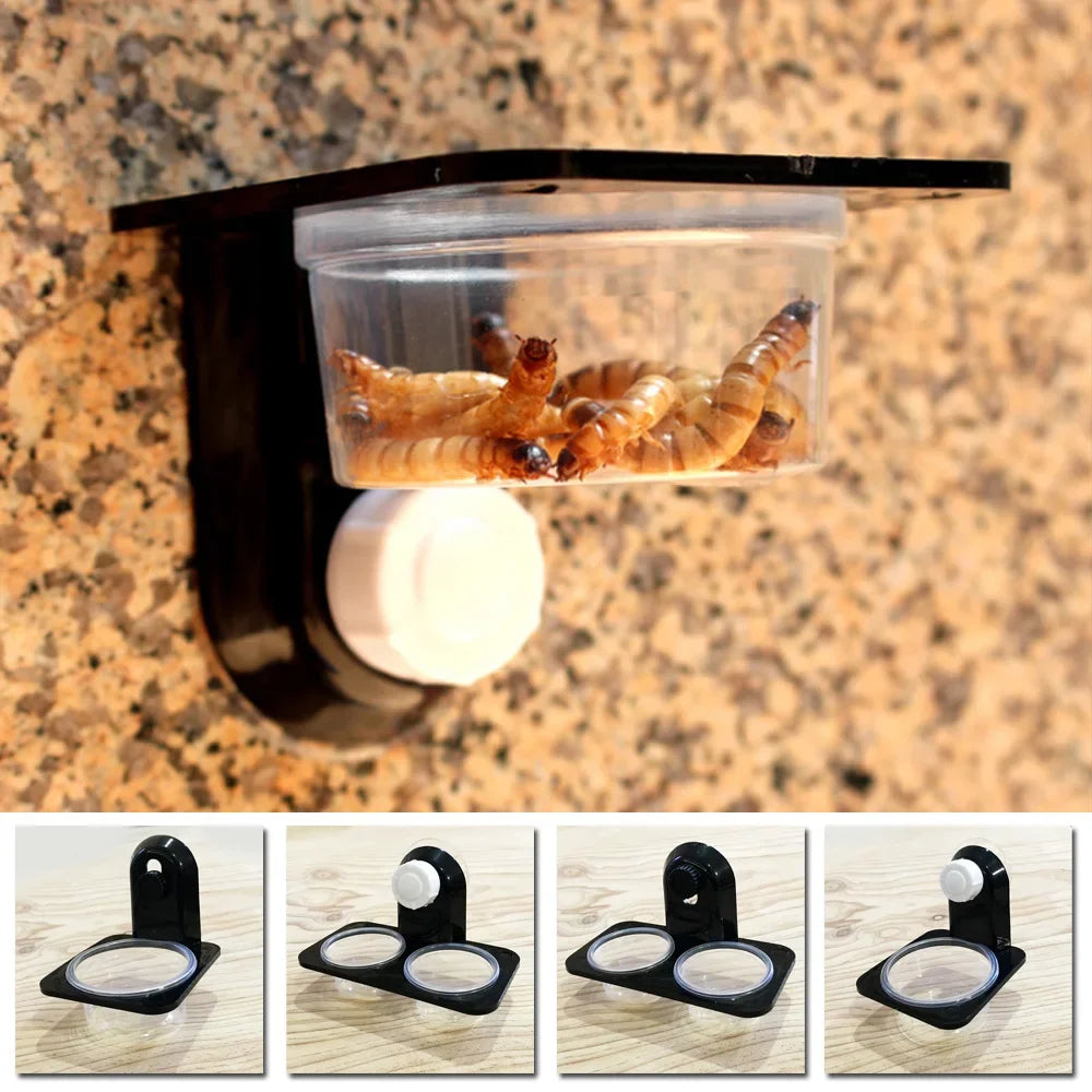 1pcs Gecko Feeder