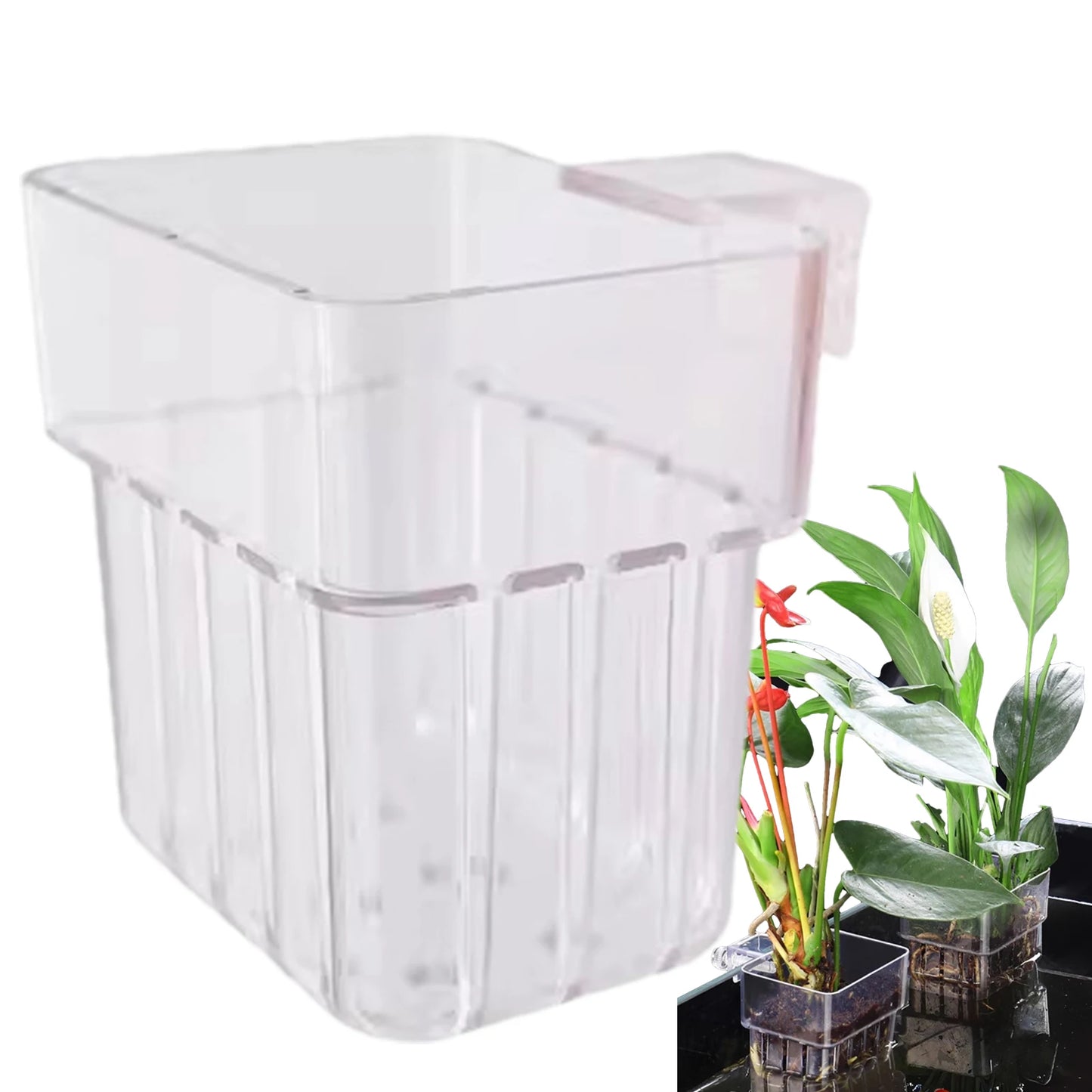 Aquarium Plant Holder