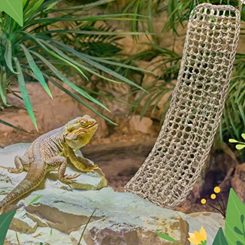 1PC Lizard Hammock