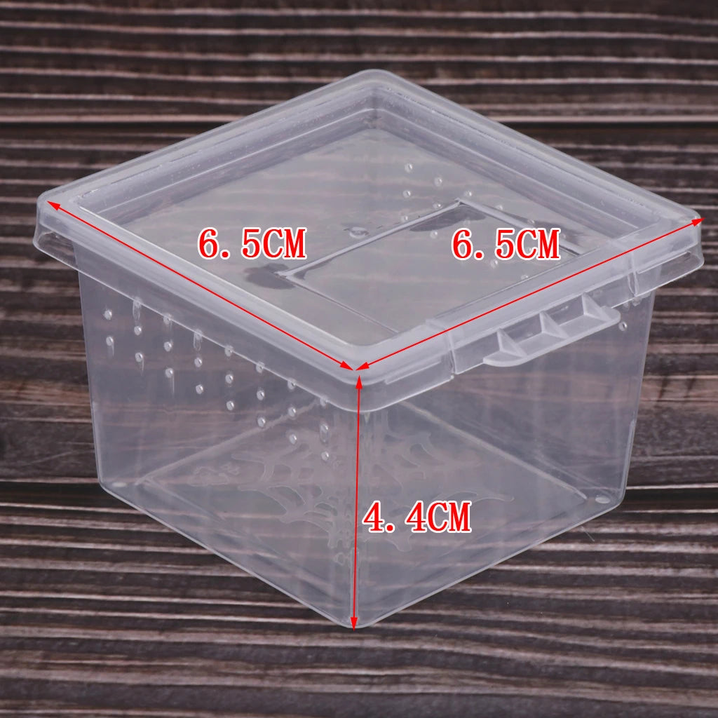 10 Pieces Spiderling boxes