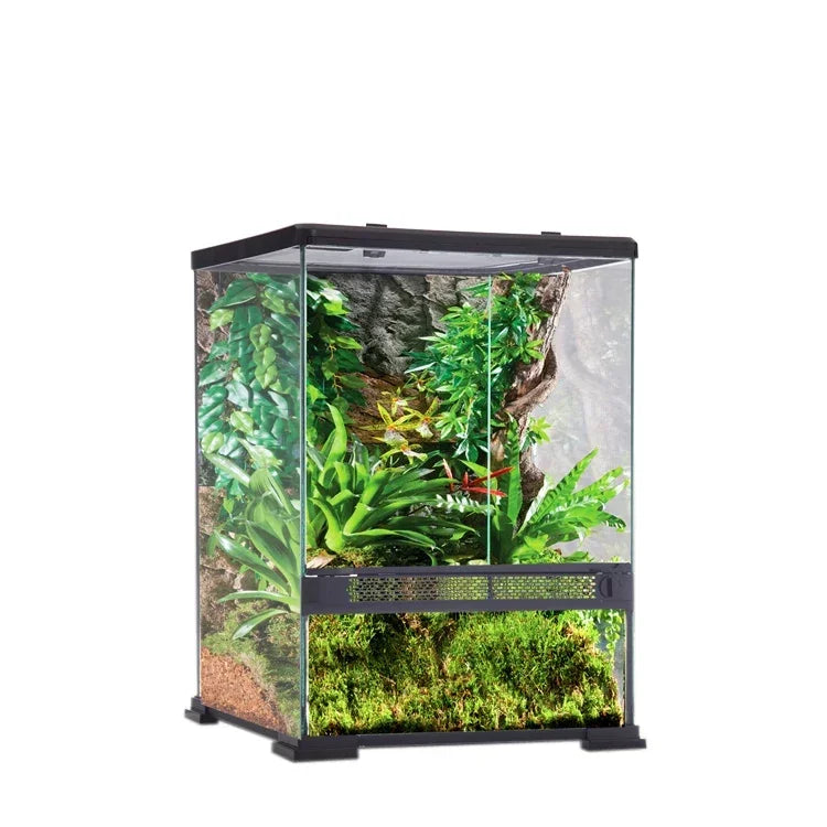 Terrarium