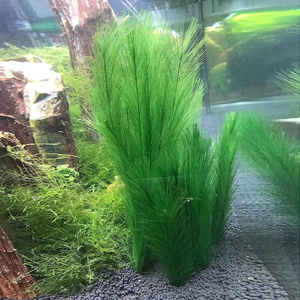 30cm Imitation Water Grass