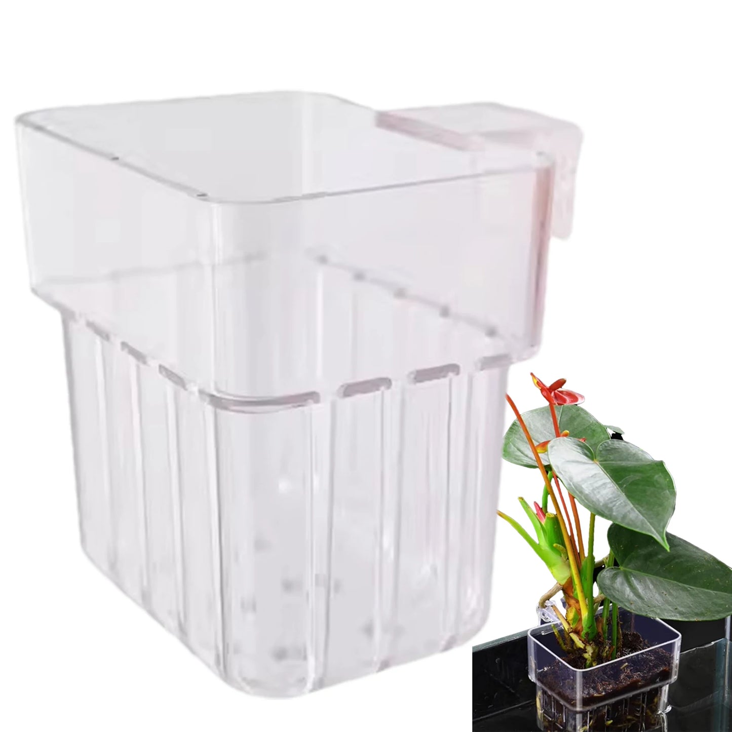 Aquarium Plant Holder