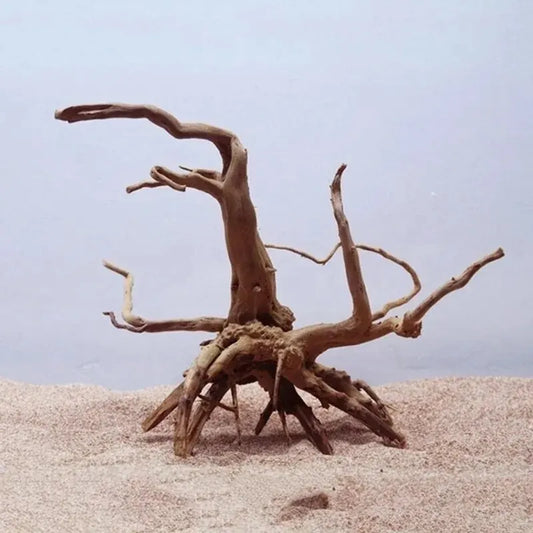 Natural Driftwood