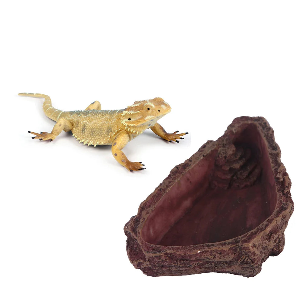 Reptile Feeding Dish