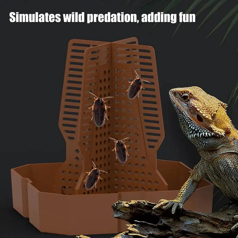 Reptile Food Dish