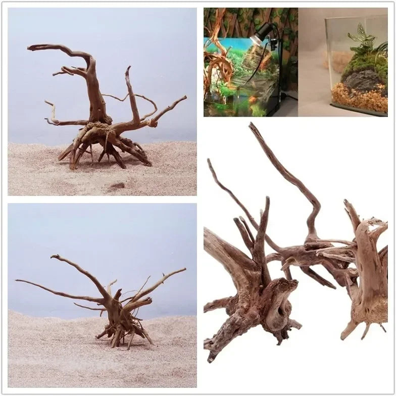 Natural Driftwood