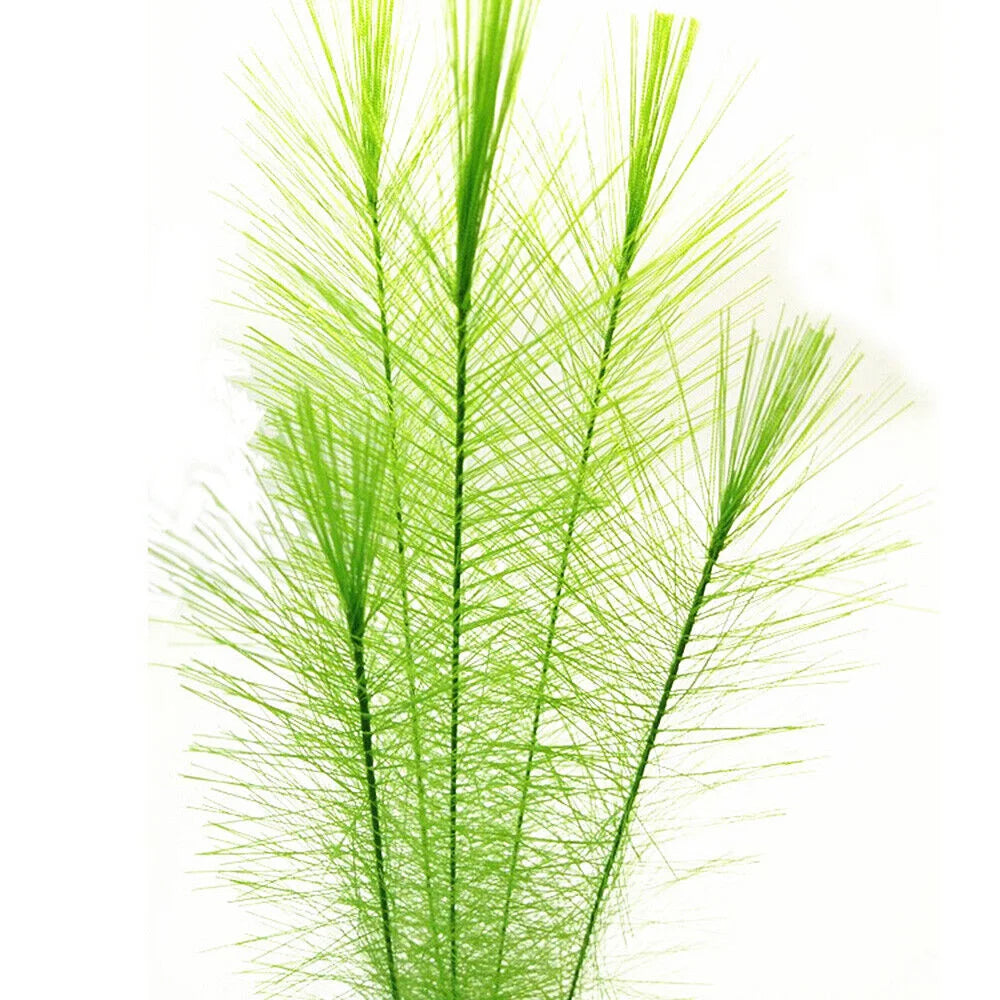 30cm Imitation Water Grass