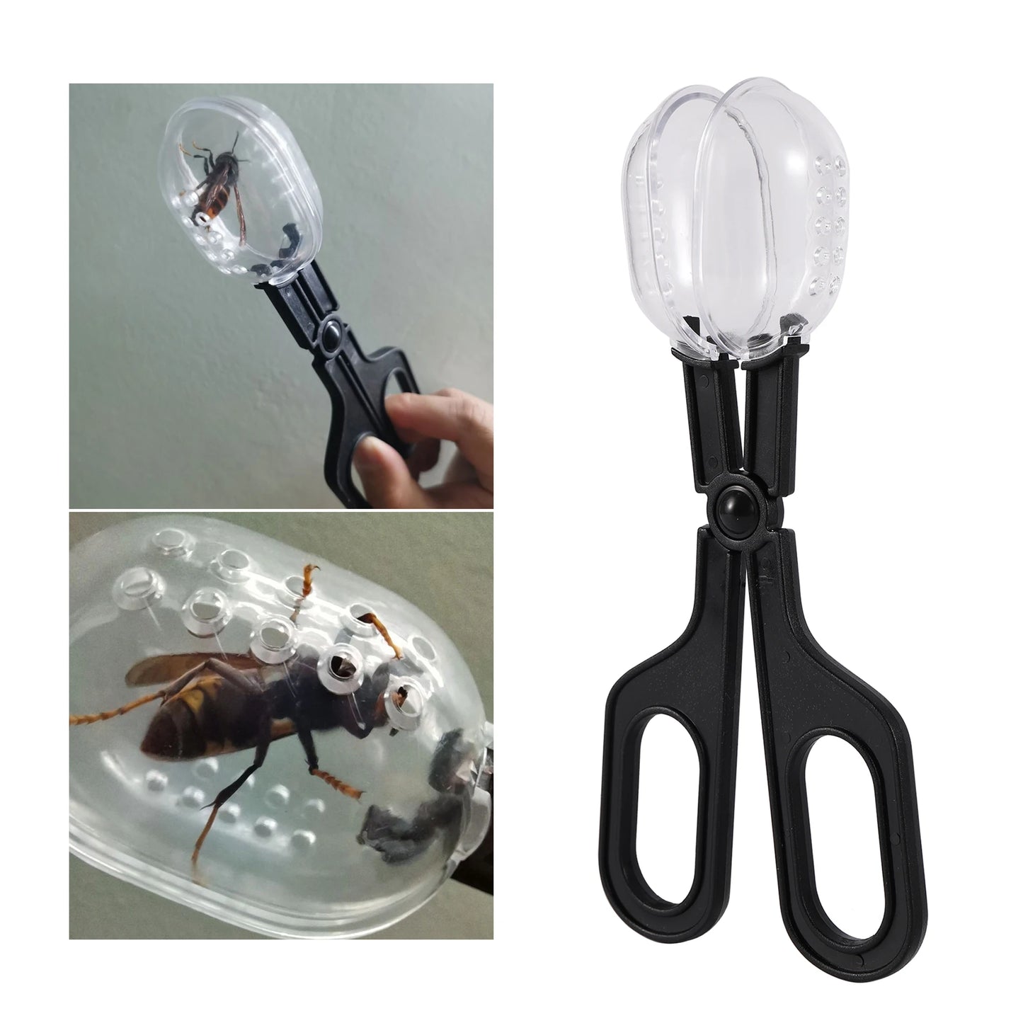 Bug catching Clamps