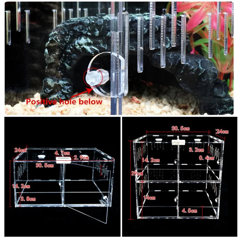 Invert Acrylic Terrarium