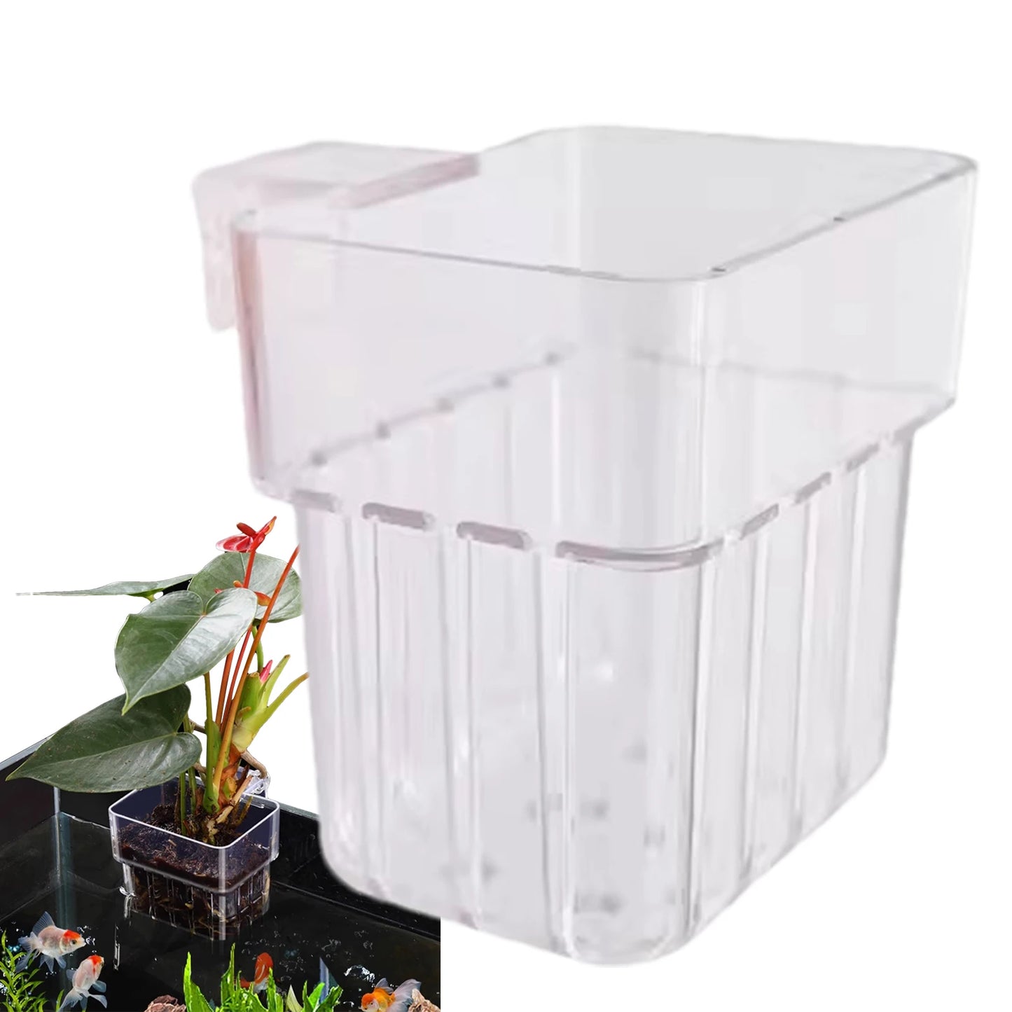 Aquarium Plant Holder