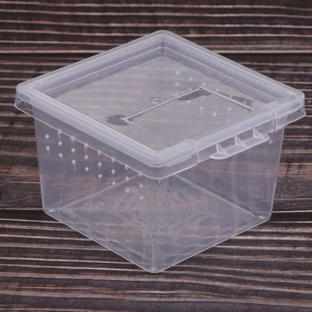 10 Pieces Spiderling boxes