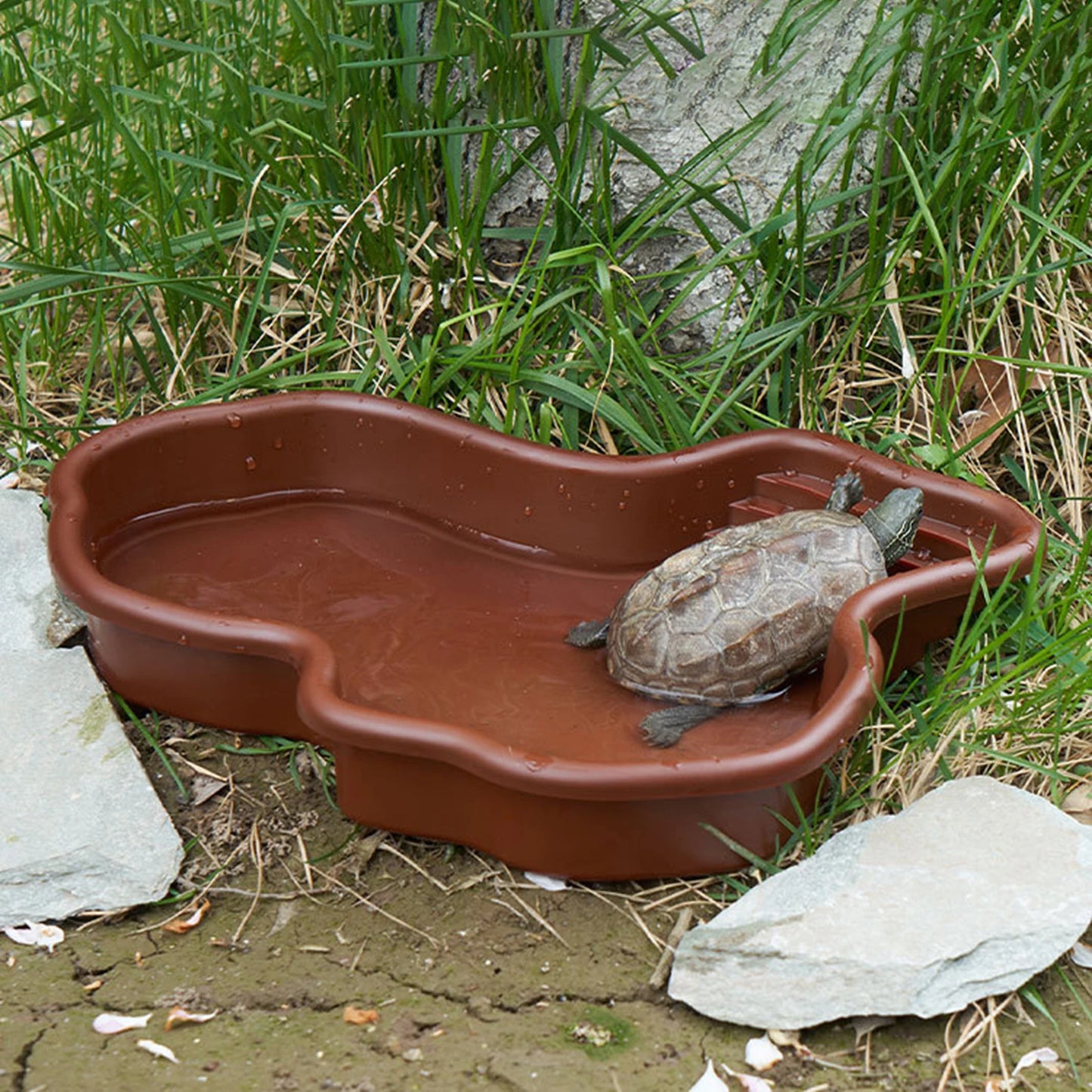 Large Reptile Bowl