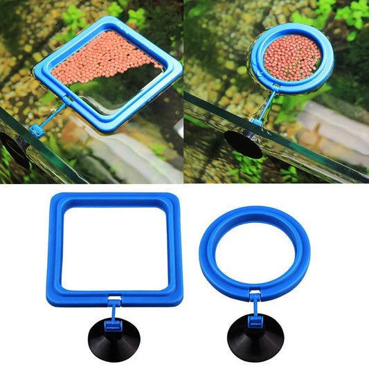 Aquarium Feeding Ring