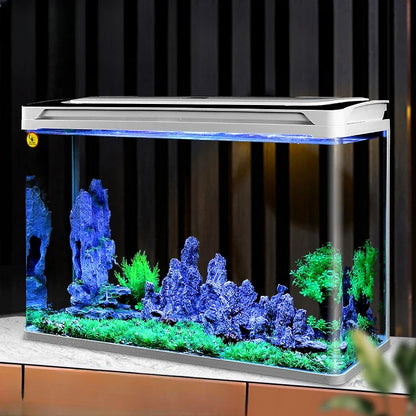 2L Aquarium