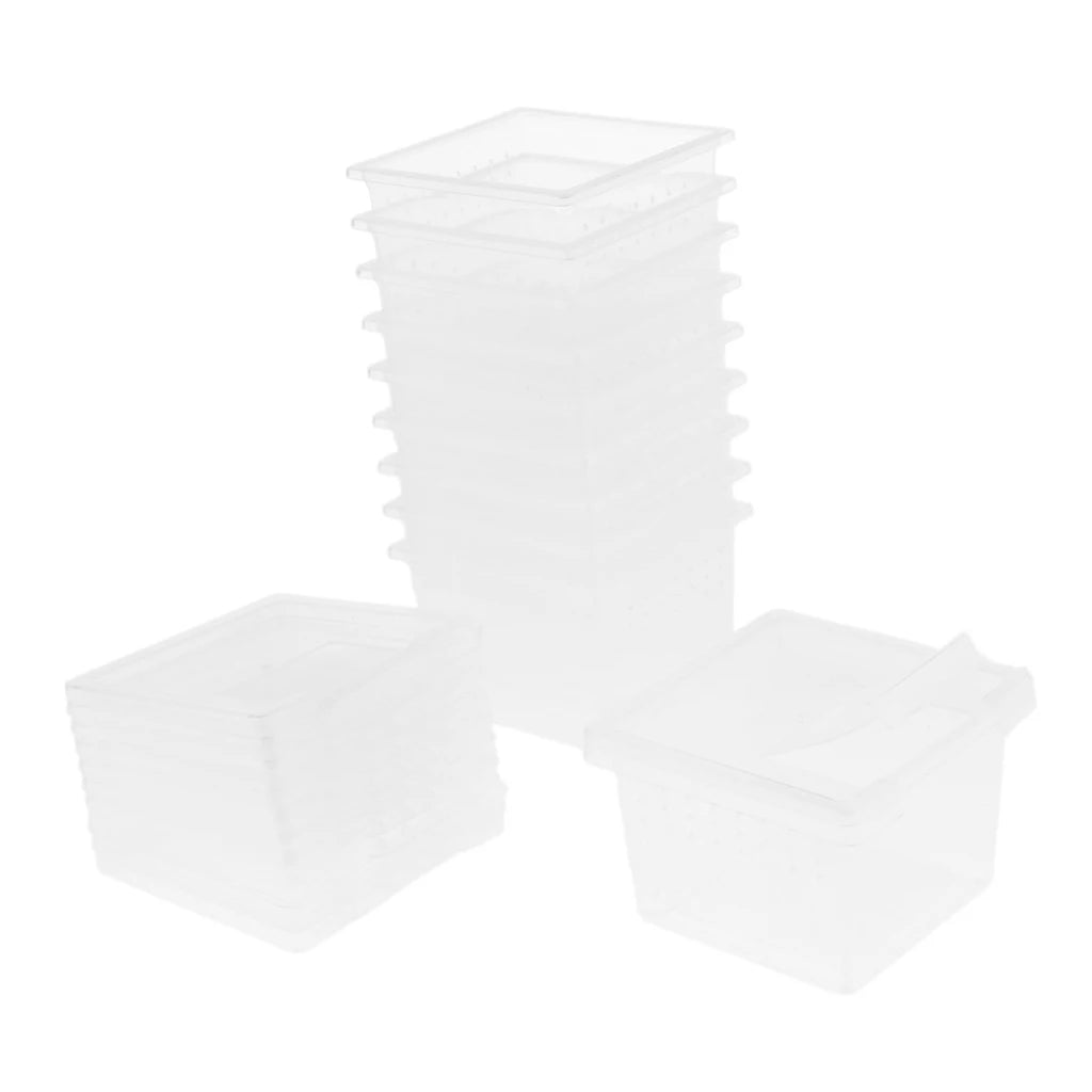 10 Pieces Spiderling boxes