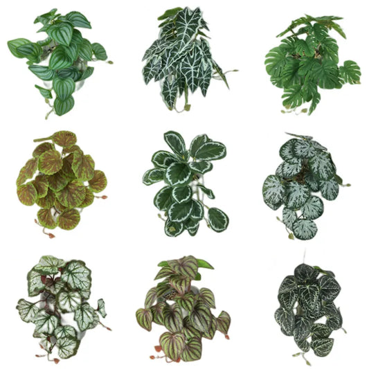 Reptile Foliage