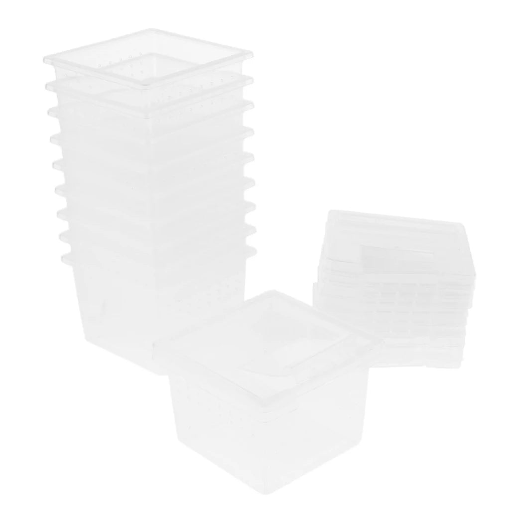 10 Pieces Spiderling boxes