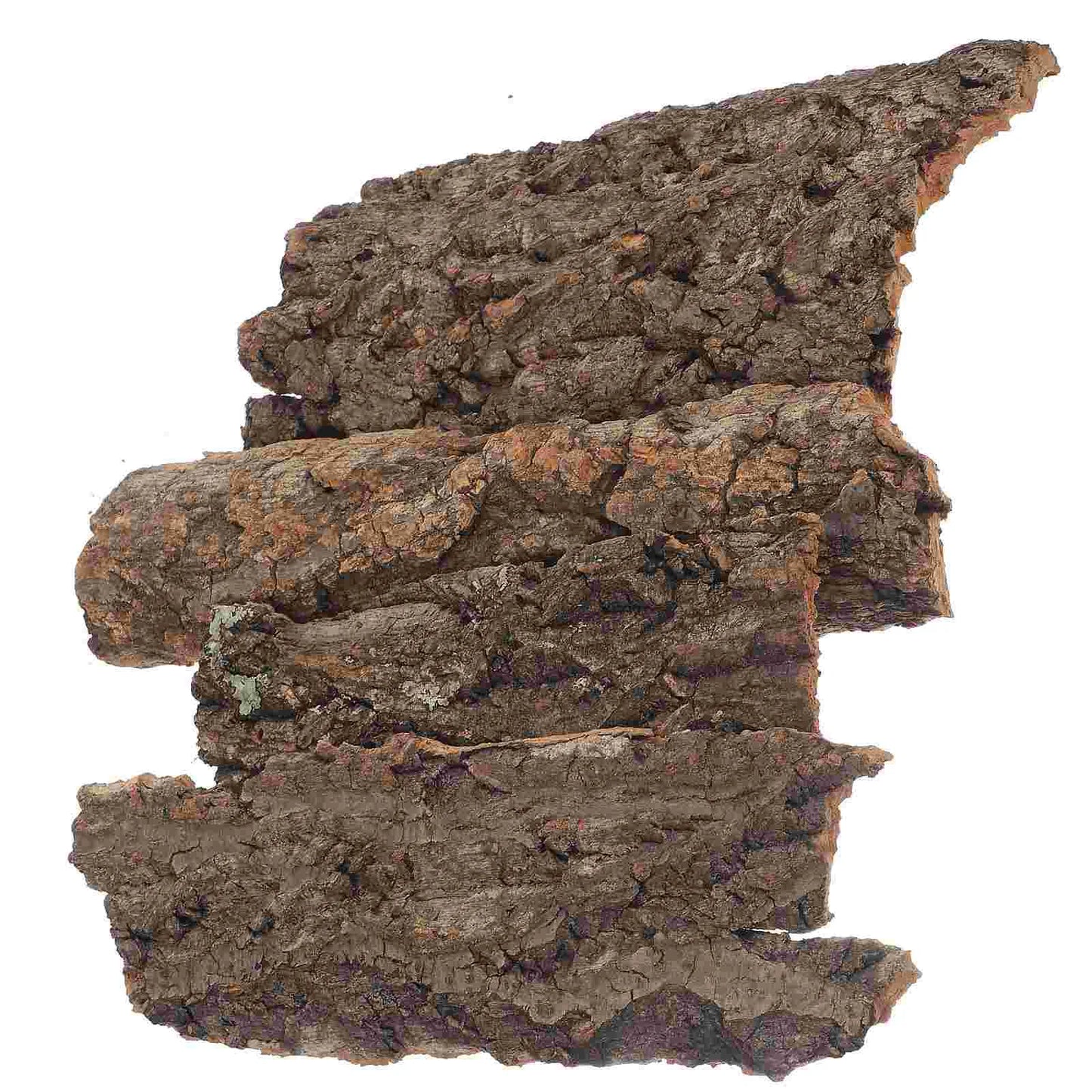 4 Pcs Reptile Bark