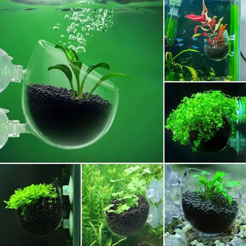 Aquarium Plant Cup