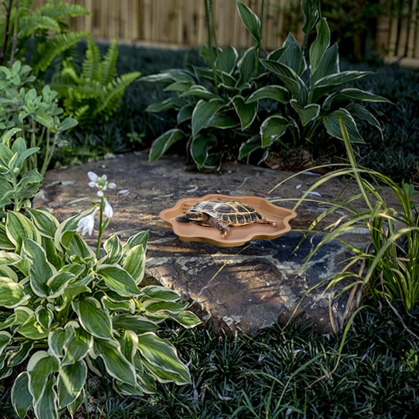 Large Reptile Bowl