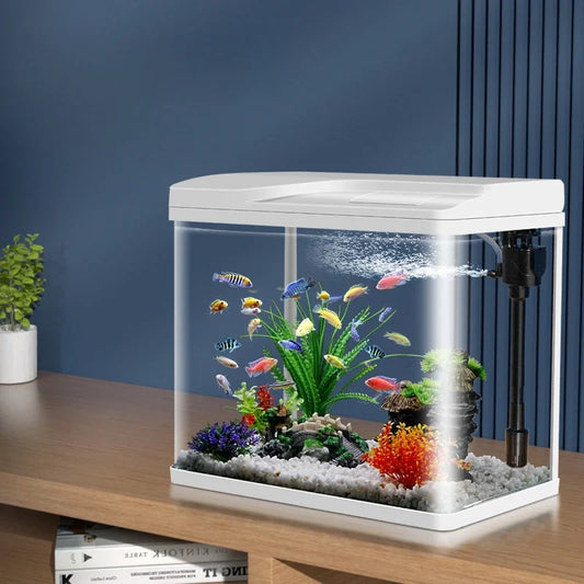 Table Aquarium